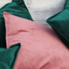 Coussins velours